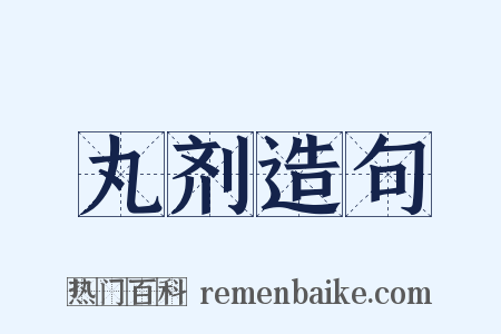 丸剂造句是什么意思的图片
